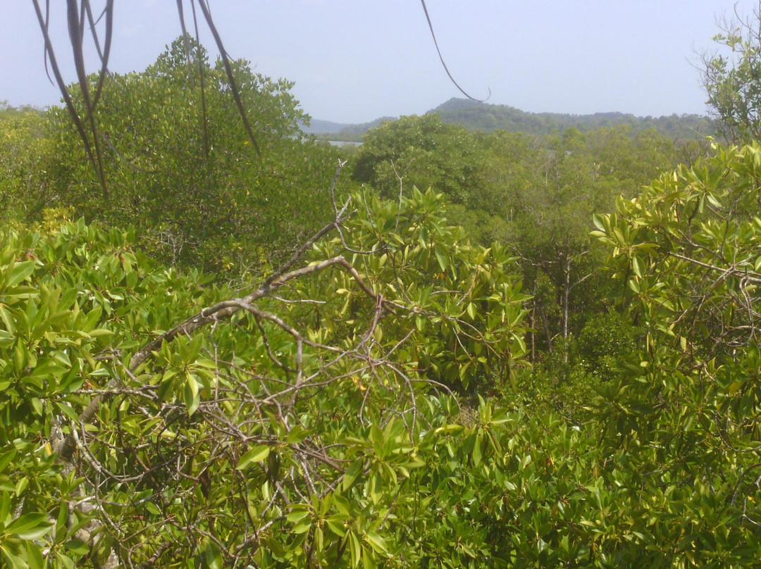 Ream National Park景点图片