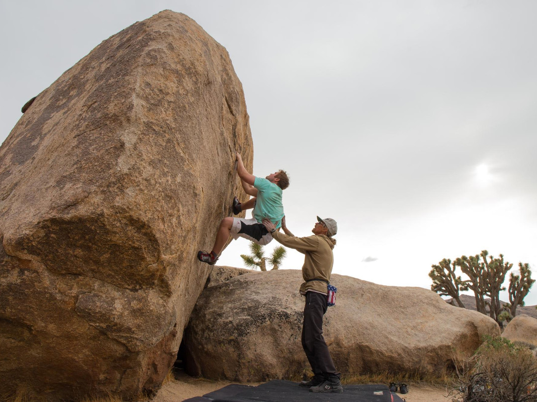 Joshua Tree Rock Climbing School-约书亚树国家公园必去景点