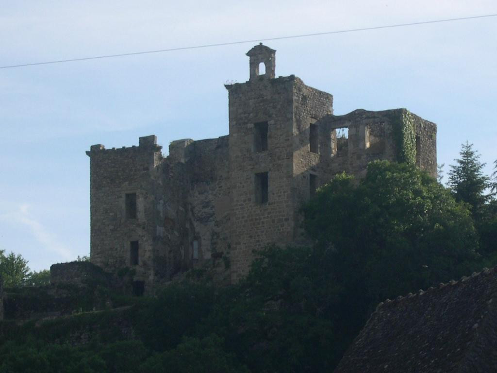 Chateau de Saint Martin Laguepie景点图片