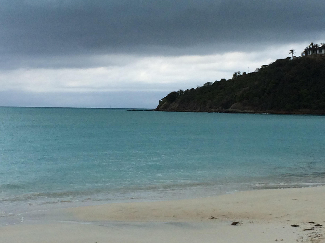 Lambert's Cove Beach景点图片