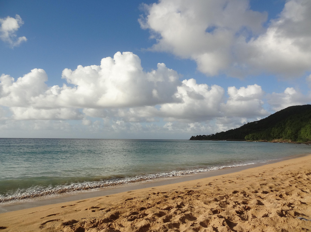 Plage de Grande Anse-Deshaies必去景点