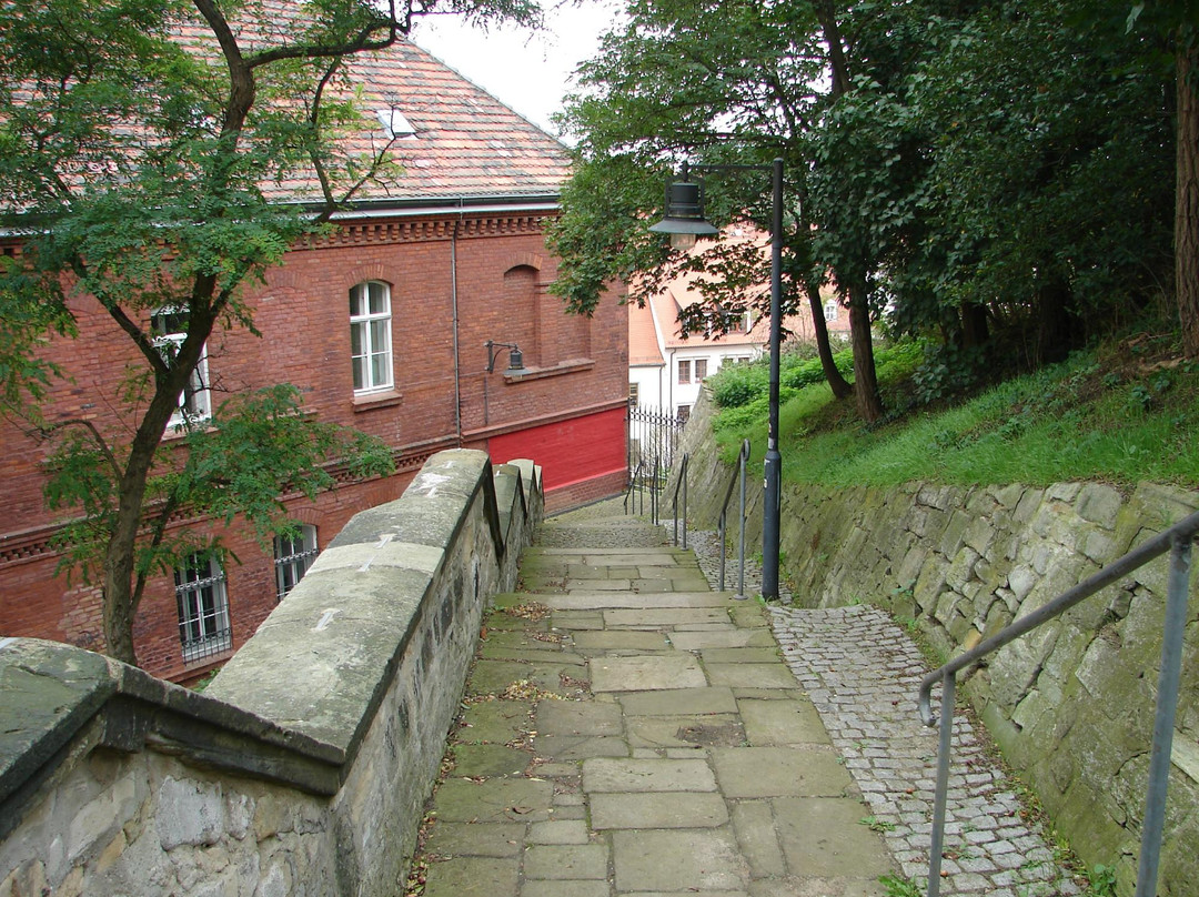 Museum Weissenfels im Schloss Neu-Augustusburg景点图片