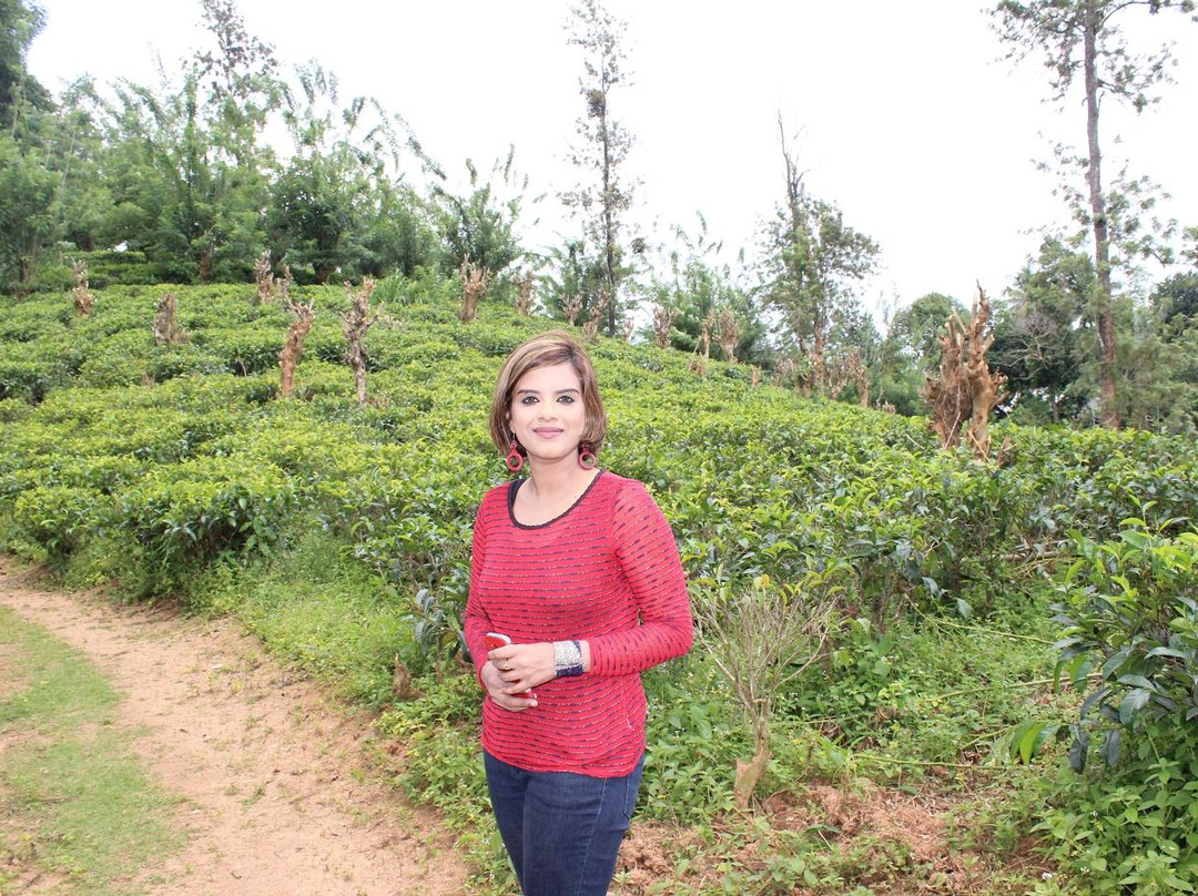 Kadugannawa Tea Factory景点图片