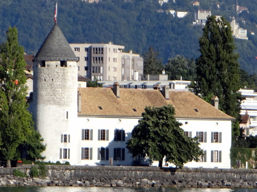 Musée Suisse Du Jeu景点图片