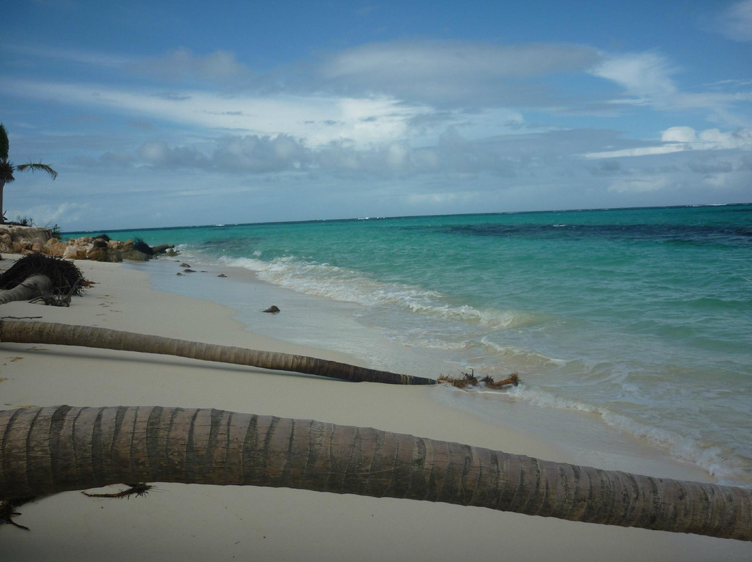 Gwen's Reggae Bar & Grill-West End Village必去景点