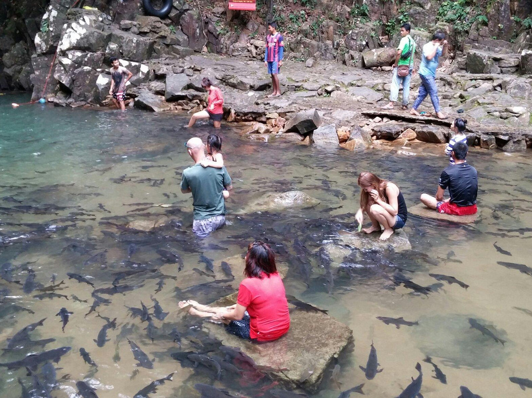 Namtok Phlio National Park-尖竹汶必去景点