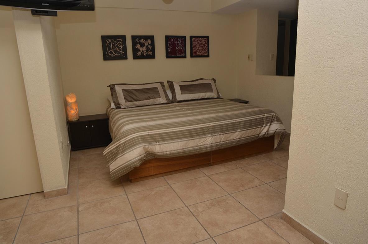 Hotel Senorial Platino-客卧