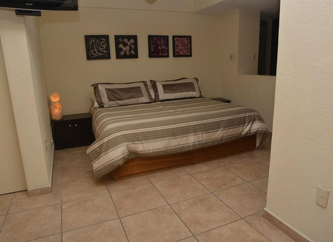 Hotel Senorial Platino主图