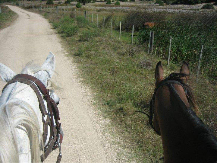 Haras Godiva-Jose Ignacio必去景点