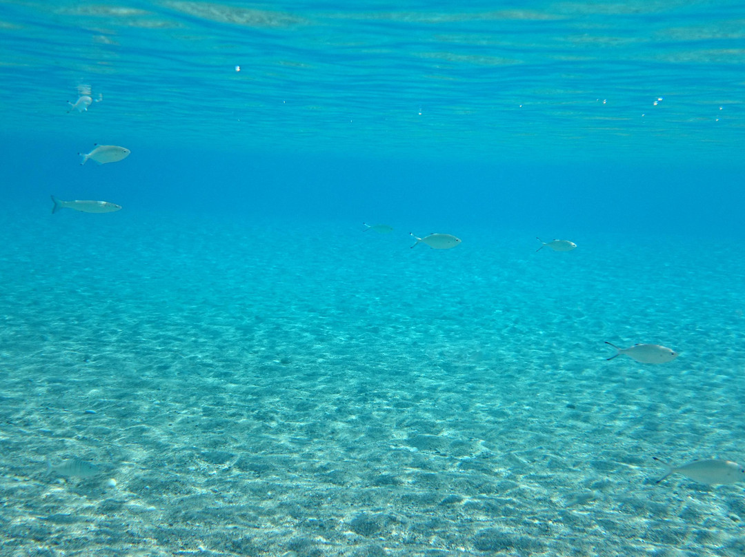 Kamari Beach-Kós必去景点