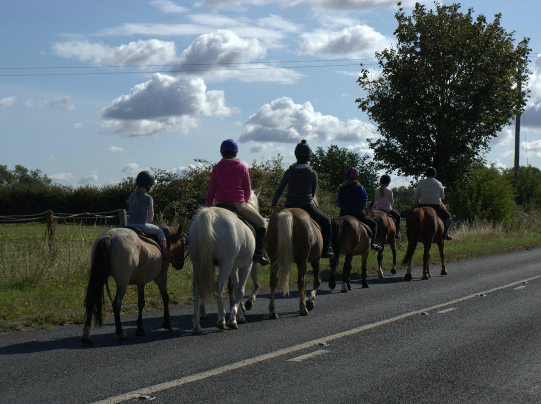 Moyfield Riding School景点图片