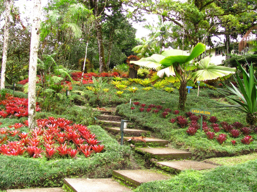 Las Cruces Biological Station and Wilson Botanical Garden景点图片