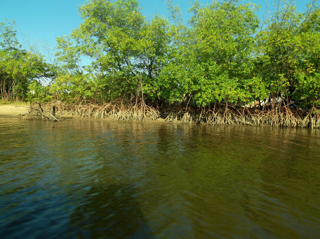 Itapicuru River景点图片