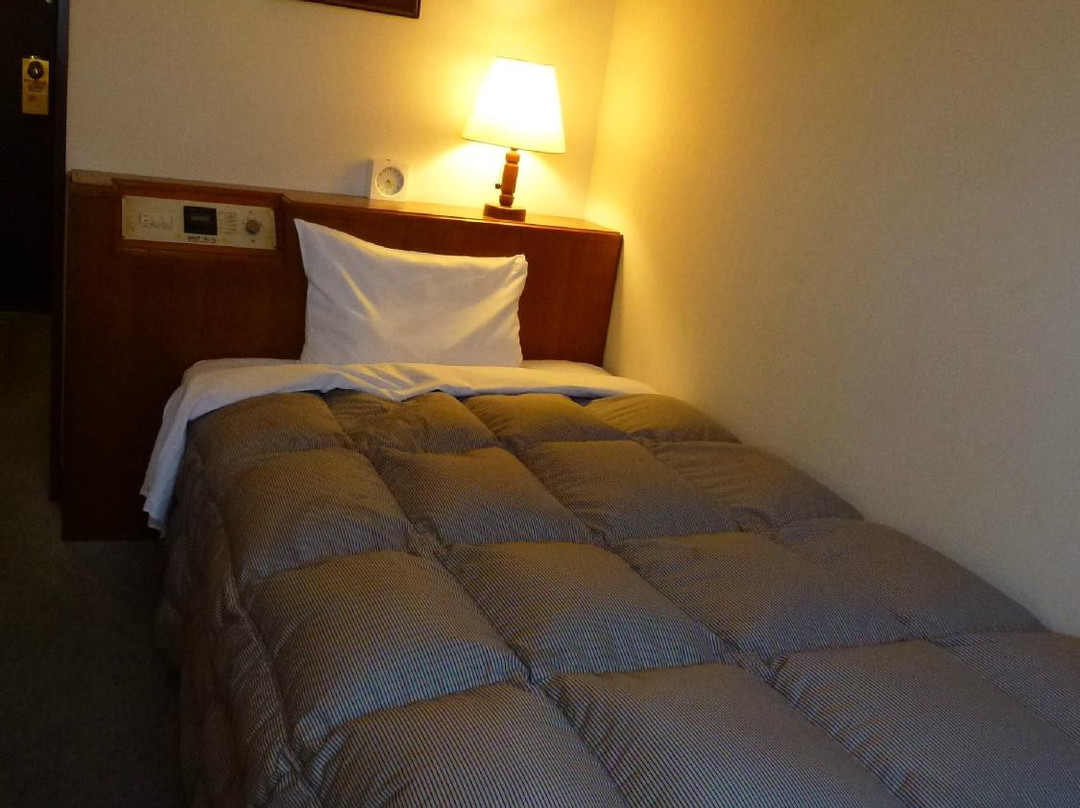 Iwata Park Hotel主图