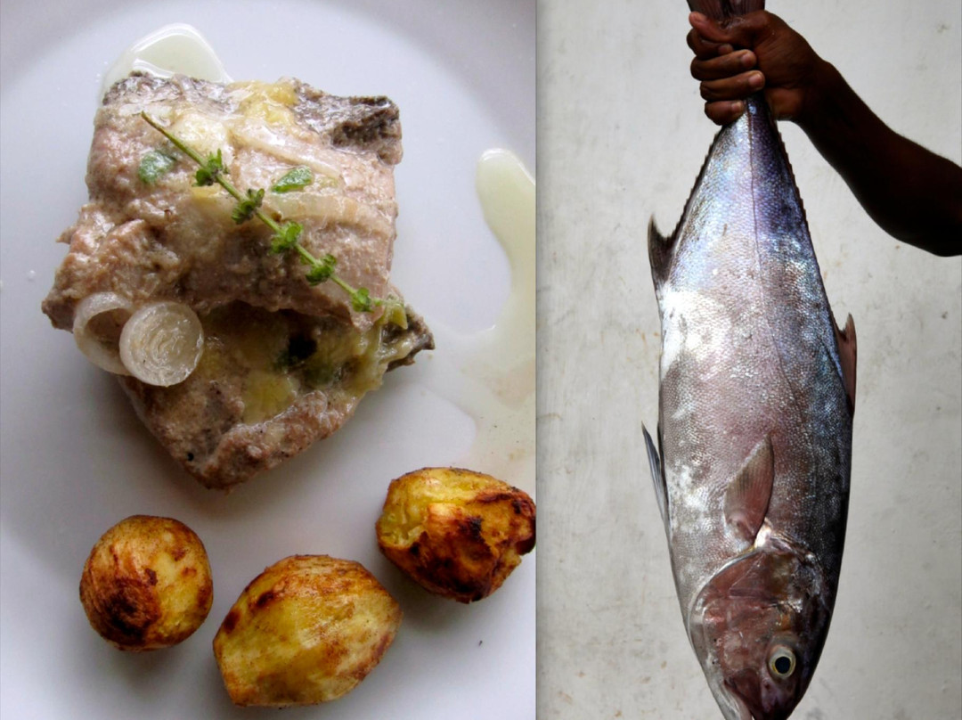 阿雷格里港酒店住宿-Pousada Roça São João