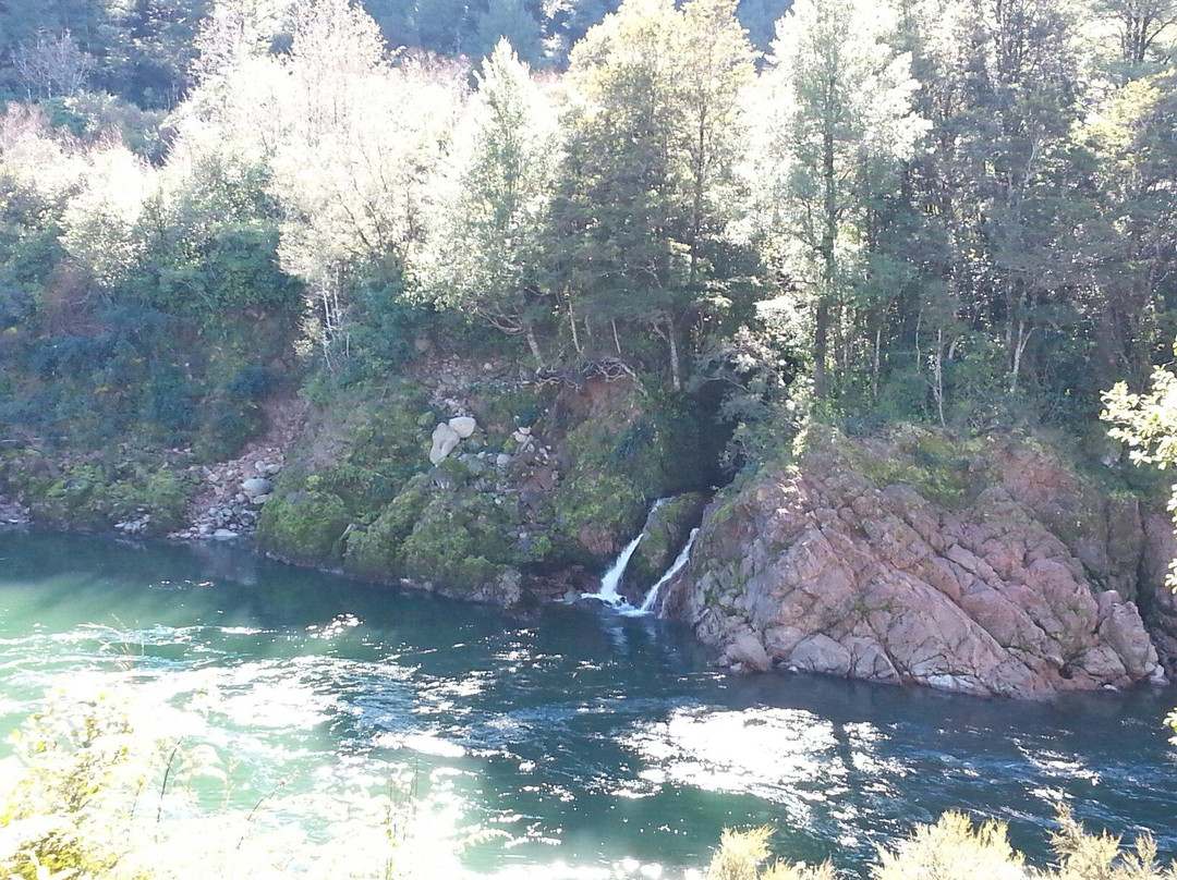 Buller Gorge Swingbridge Ltd景点图片