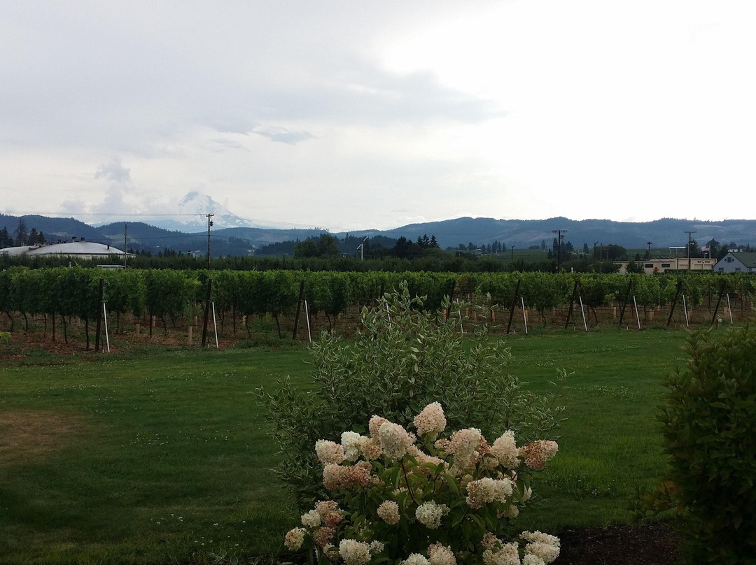 Viento Wines-胡德里弗必去景点