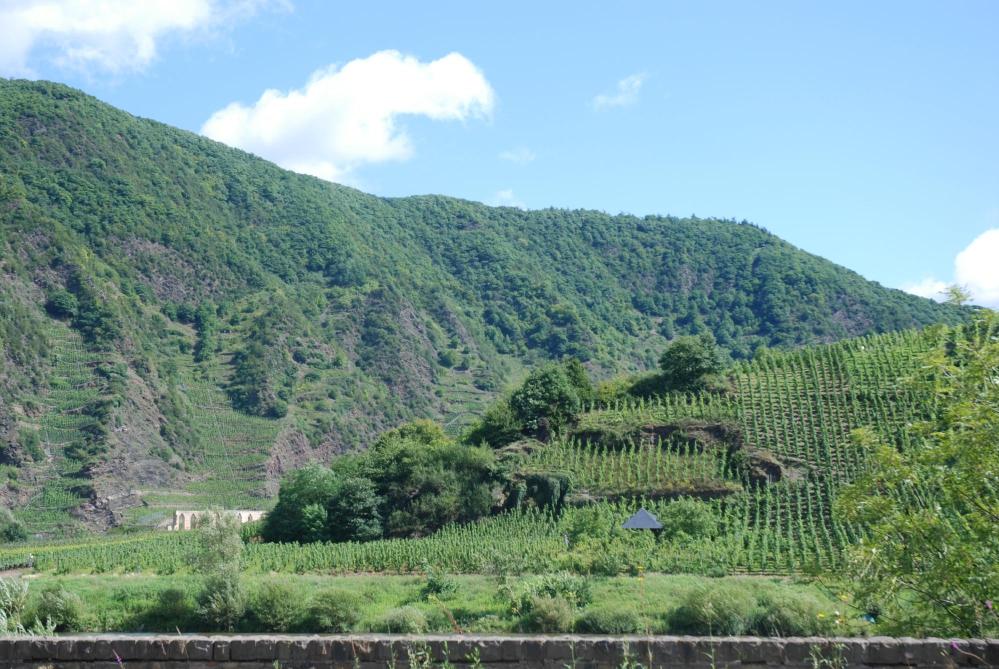 Moselterrasse Conzen-客卧