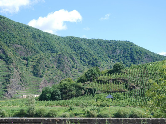 Moselterrasse Conzen主图