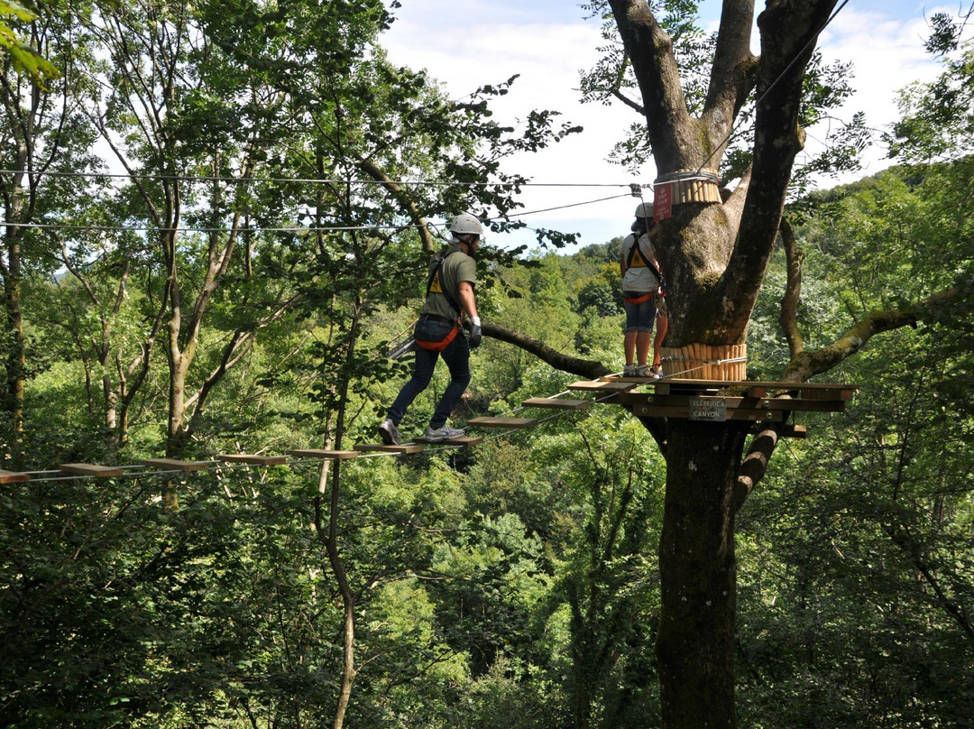 Jungle Raider Park Xtreme