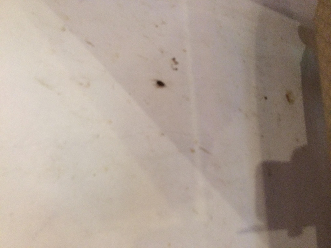 Pacific Mall Toronto-万锦市必去景点