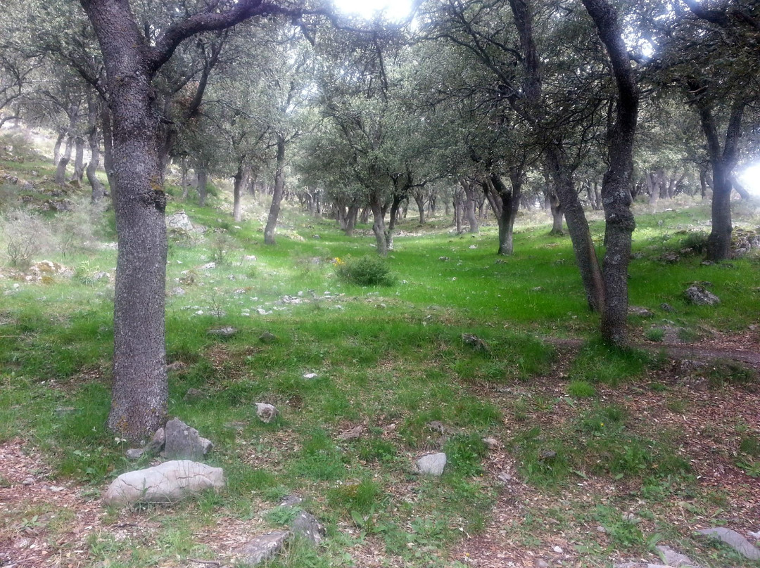 Cuevas de Ortigosa de Cameros景点图片