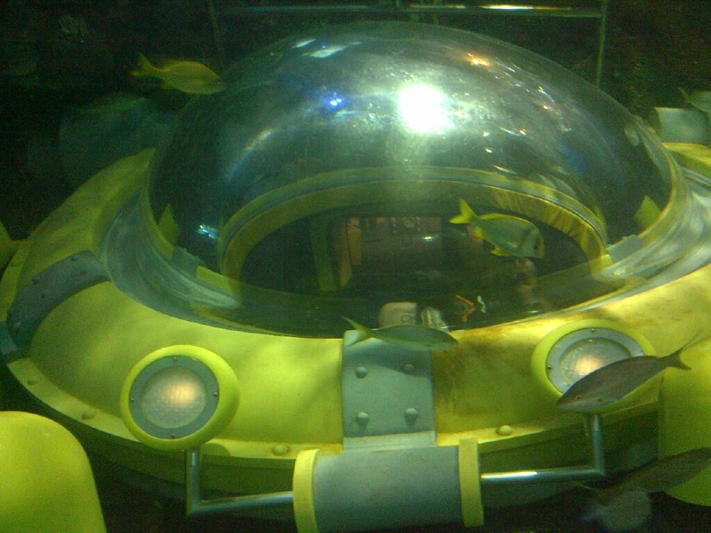 加拿大里普利水族馆-多伦多必去景点