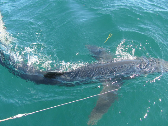 Diamond Pass Outfitters-南波特兰必去景点