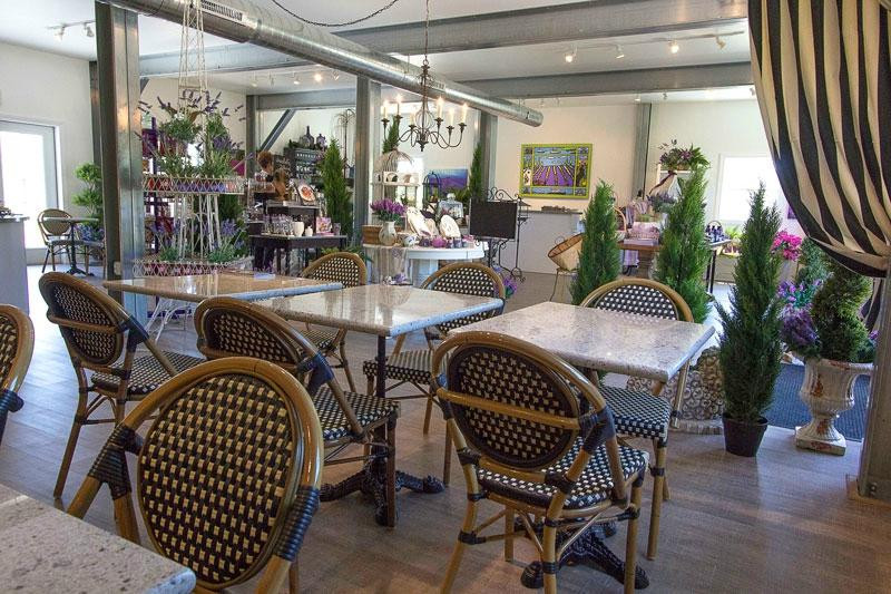 Fragrant Isle Lavender Farm & Shop-Washington Island必去景点