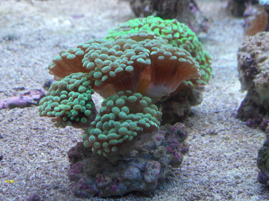 Aqua Expo景点图片