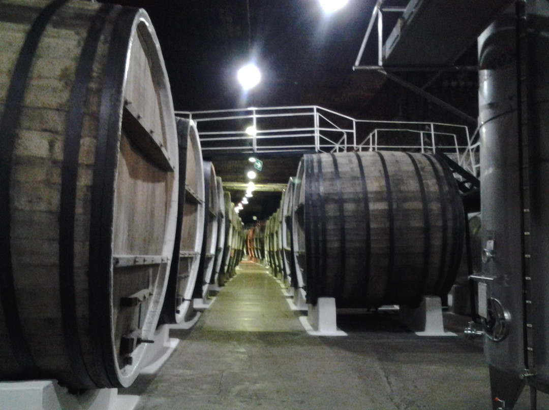 Inkerman Wine Factory-Inkerman必去景点