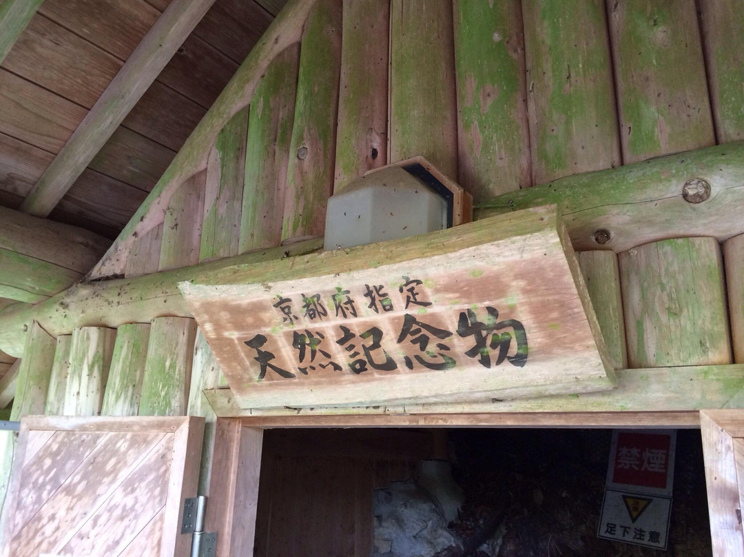 Shizushi Cave-京丹波町必去景点