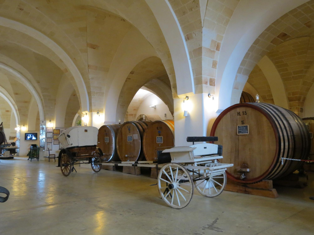Province of Taranto旅游景点-Museo della Civilta del Vino Primitivo