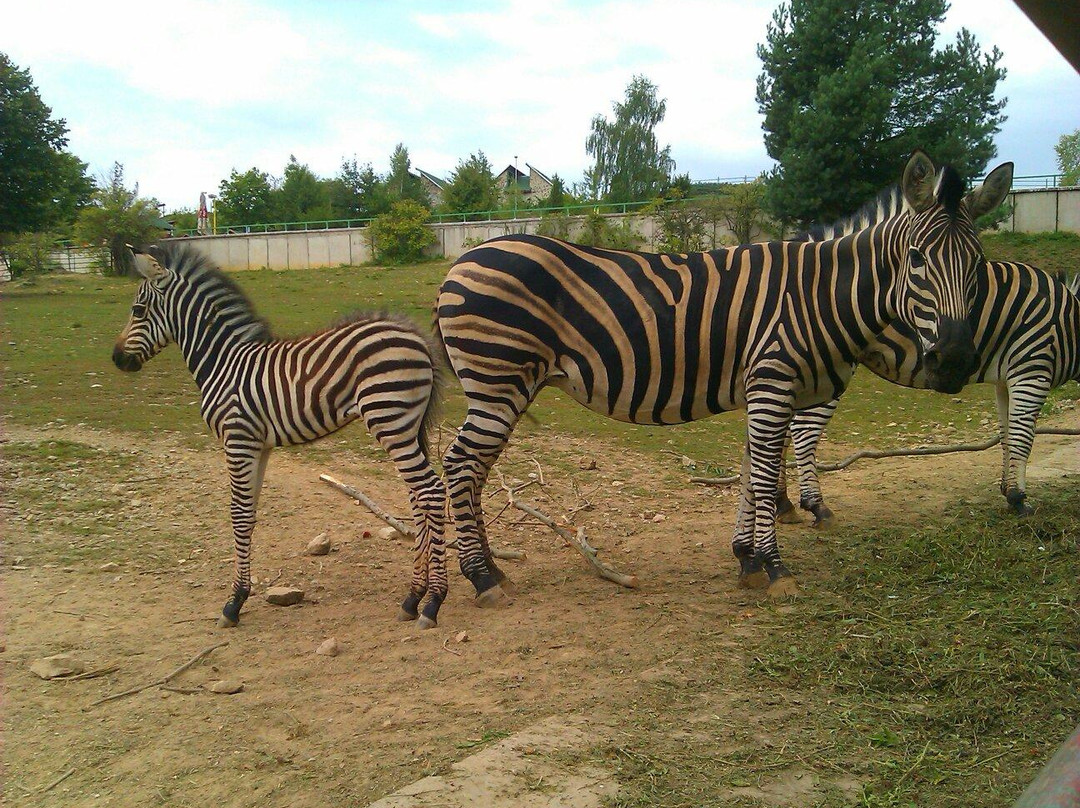 Zoo Kosice景点图片