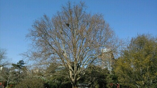 日坛公园-北京市必去景点