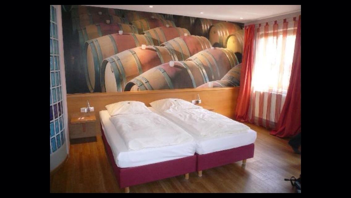 Weinhotel Fritz Walter-客卧