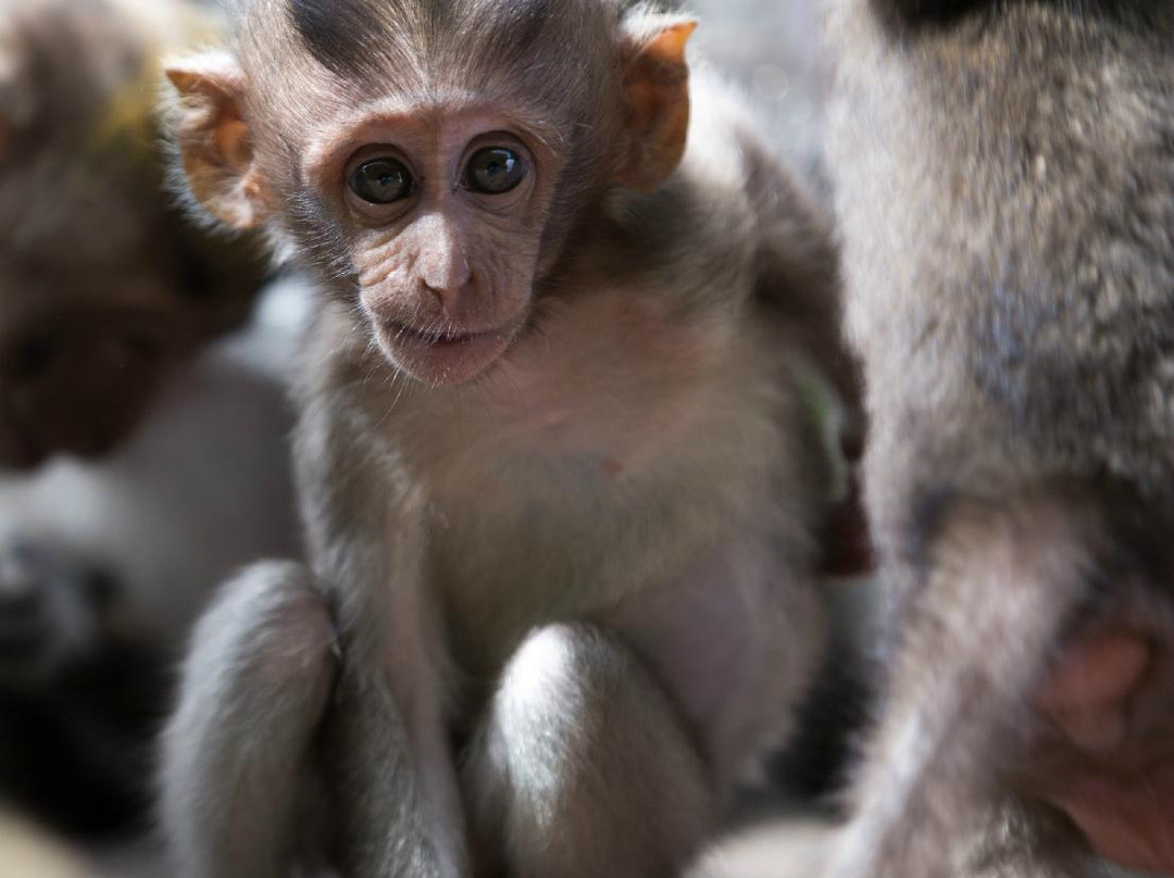 Nowa Bali - Private Tour-水明漾必去景点