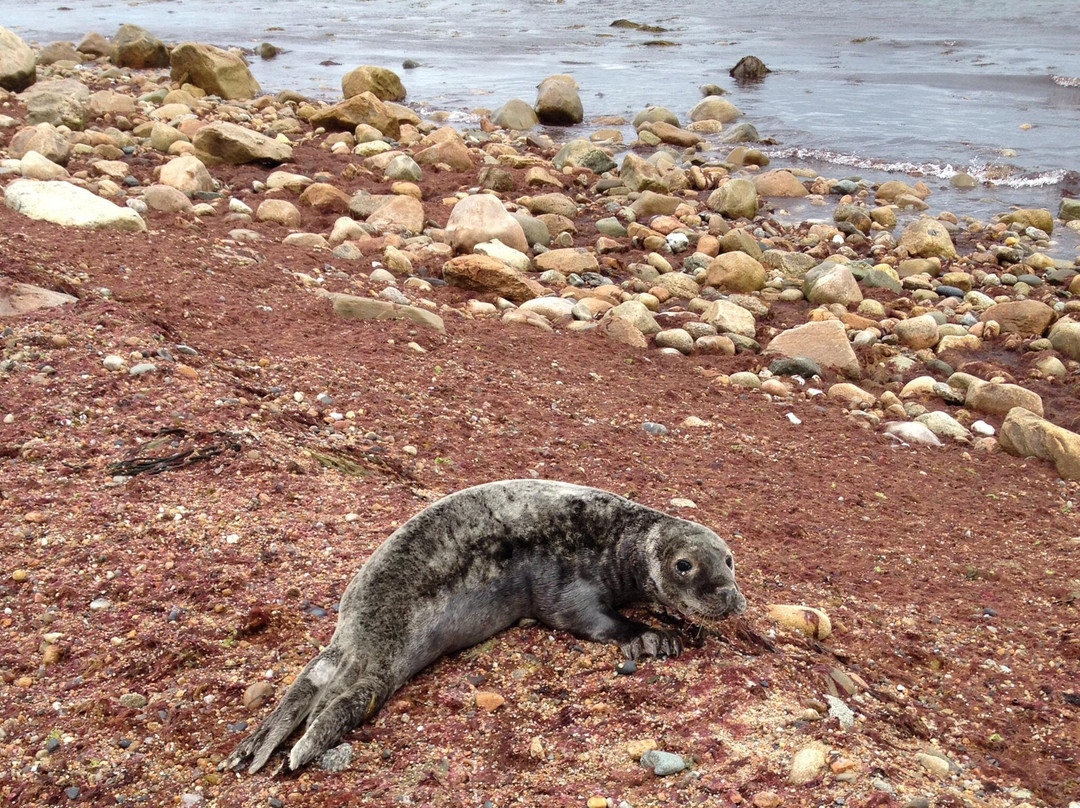 Clayhead Nature Trail-新肖勒姆必去景点