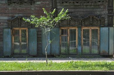 Galina's Homestay主图