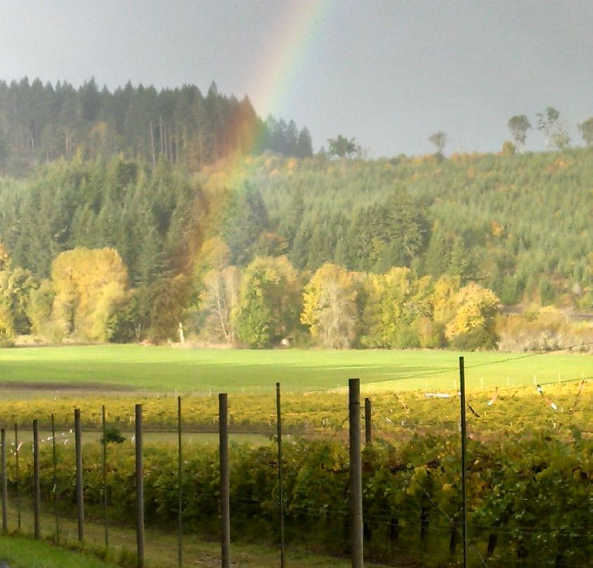 Airlie Winery-Monmouth必去景点