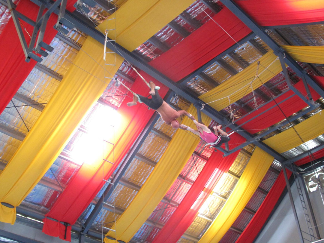 Circus Arts Byron Bay-拜伦湾必去景点