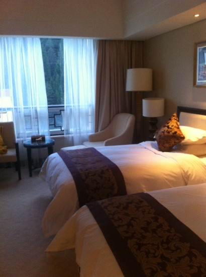 瑟尔嵯国际大酒店黄龙店主图