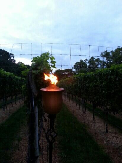 Harmony Vineyards-Head of the Harbor必去景点