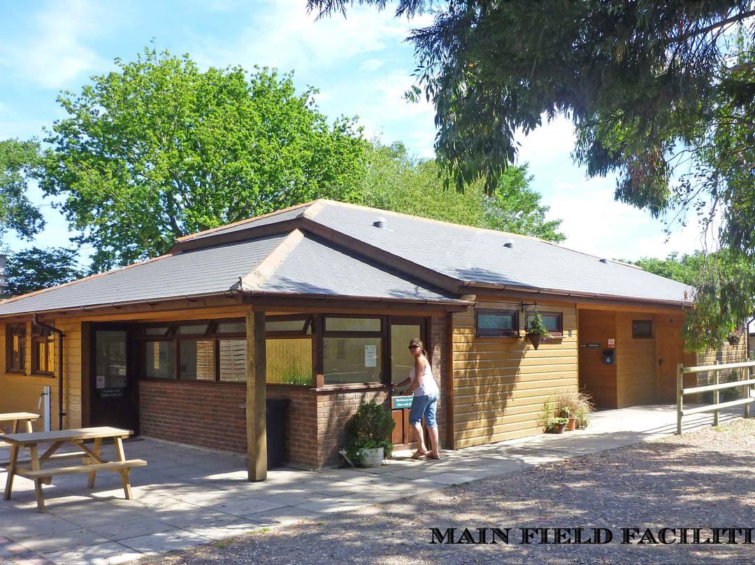 Norden Farm Campsite