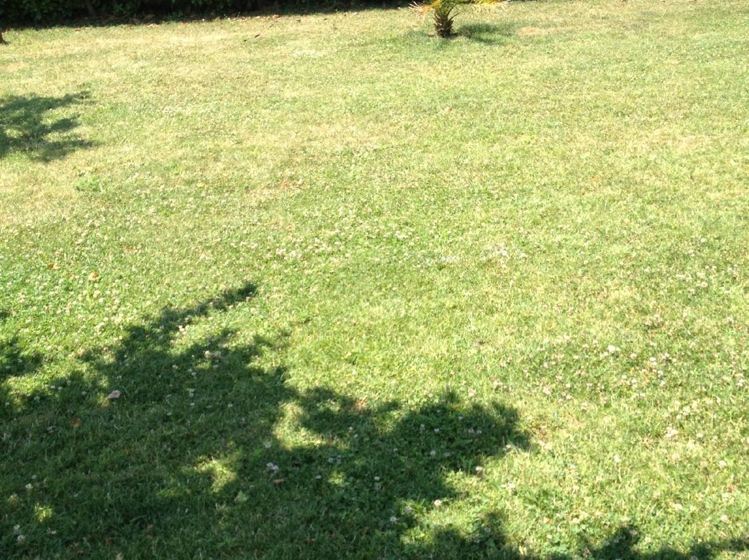 B&B Villa Lulu'主图