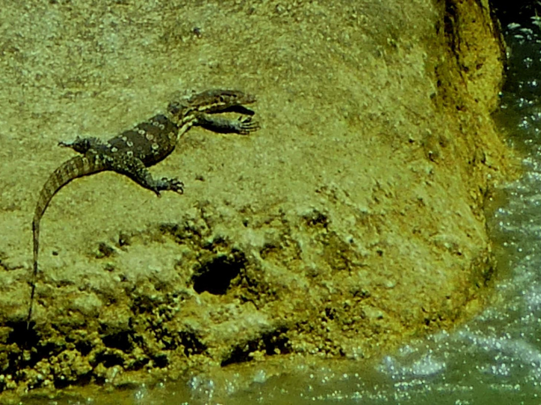 Geological Nature Reserve Karangsambung景点图片