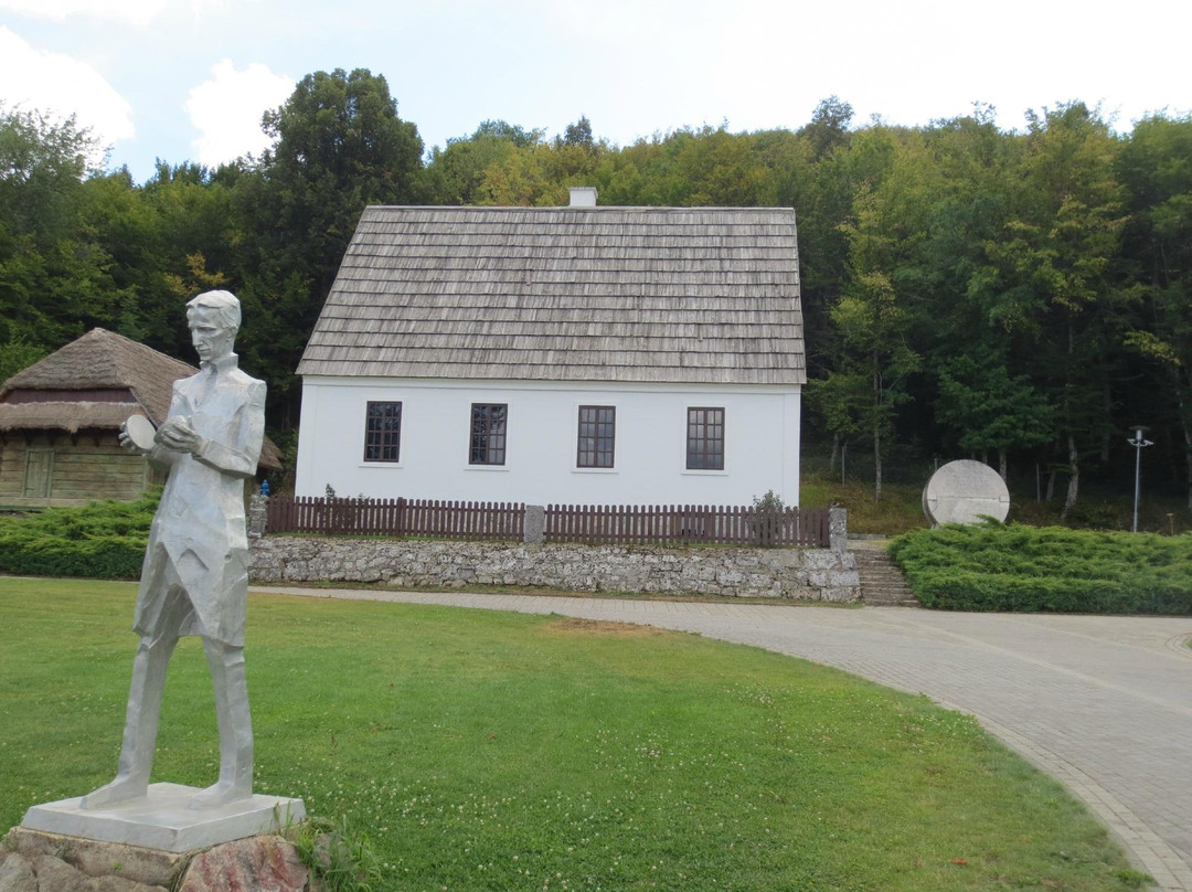 Memorial Center of Nikola Tesla景点图片