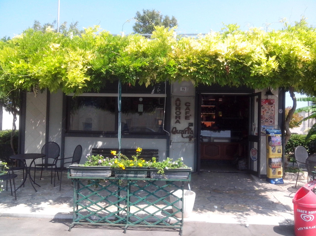 Frigole餐馆和美食-Aurora Cafe