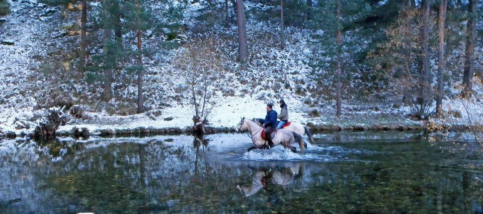 Gredos a Caballo-Hoyos del Espino必去景点