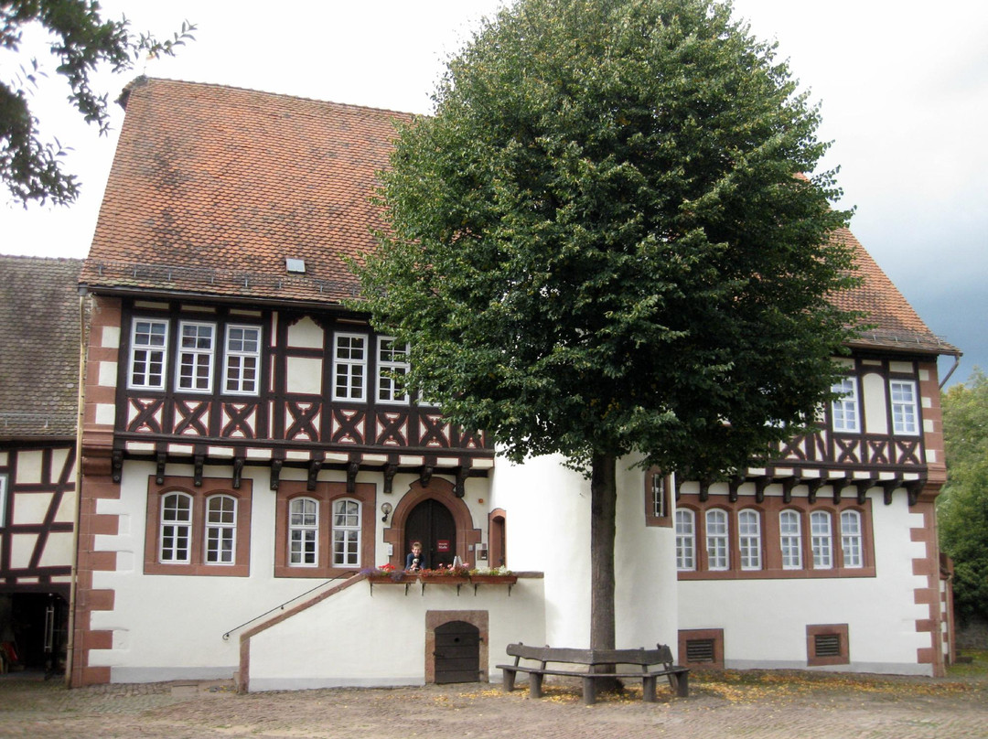 Bruder Grimm Haus景点图片